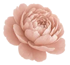 Rose Marker
